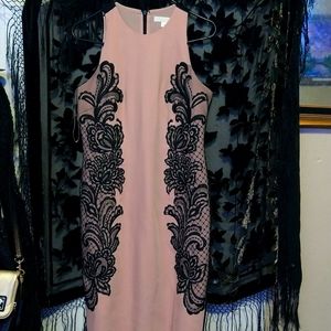 Ann Taylor Loft Rose Pink and Black Floral stitching dress